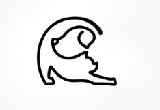 Test visual: descubre el tipo de amigo que eres, según el animal que miras primero