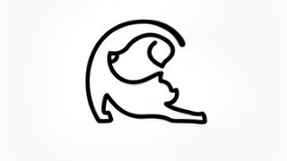 Test visual: descubre el tipo de amigo que eres, según el animal que miras primero