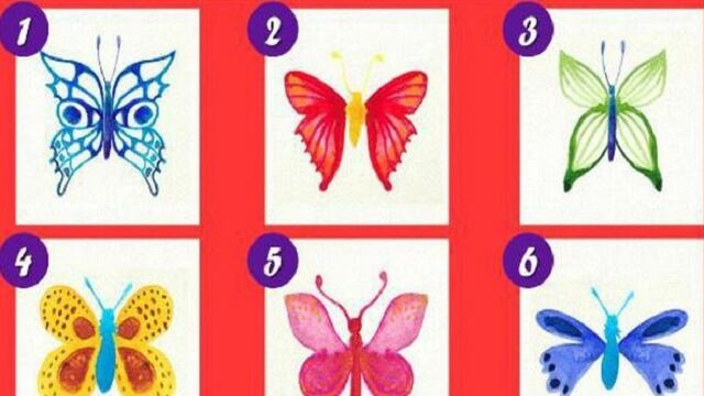 Test Viral 2021: conoce tus virtudes y defectos más notorios según la mariposa que elijas 