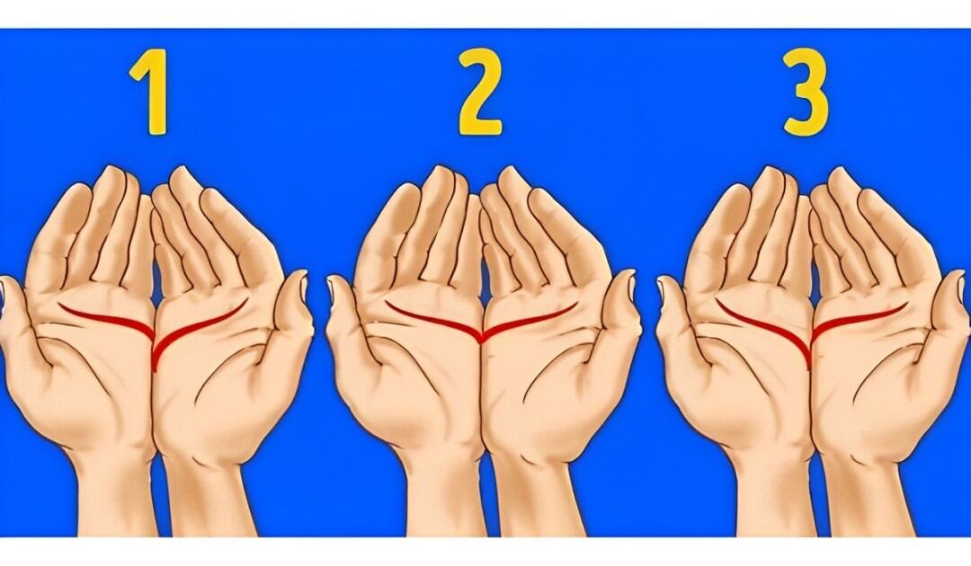 Test de personalidad: las líneas de tu mano define tu instinto. (Foto: Bussines Insider)