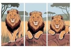 Choose one of the lions in this image to find out if you are a possessive person