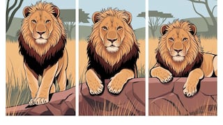 Choose one of the lions in this image to find out if you are a possessive person