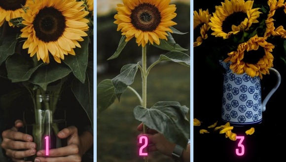 TEST VISUAL | Comúnmente, estas flores se entregan como obsequios a hombres y mujeres. (Foto: Composición Freepik / Depor)