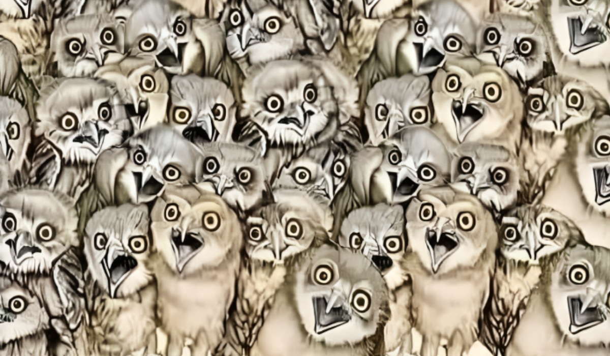 Reto visual: encuentra al gato oculto entre los búhos en menos de 10 segundos (Foto: GenialGuru)