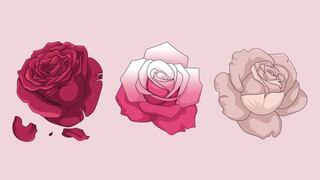Escoge una de las rosas en esta imagen para descubrir cuál es tu mayor fortaleza
