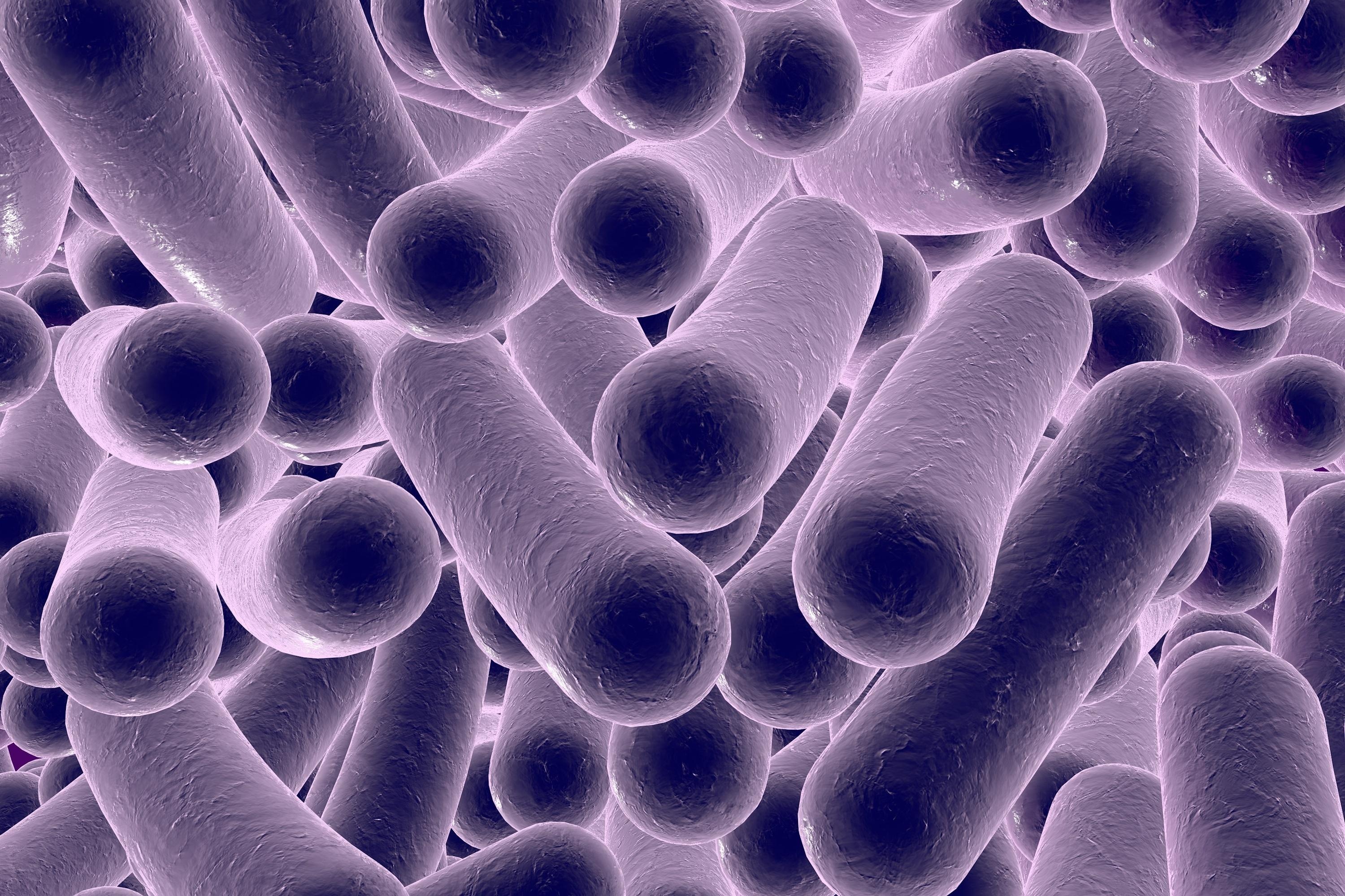 Bacteria Vibrio vulnificus puede causar la muerte a 1 de cada cinco pacientes (Foto: Freepik)