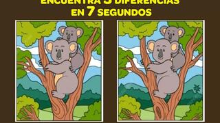 Encuentra las 3 diferencias entre las dos imágenes de koala en 7 segundos