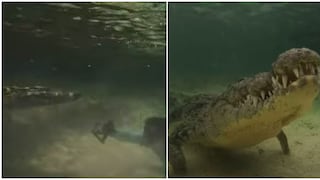 ¡De locos! Buzo arriesgó su vida para grabar a enorme cocodrilo debajo del agua y su grabación se vuelve viral [VIDEO]