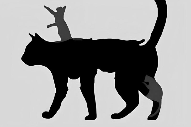 Test de personalidad: identifica cuántos años tiene tu mente según el número de gatos que ves (Foto: GenialGuru).