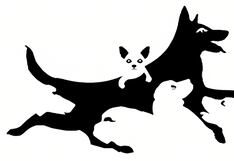 El número de perros que puedas contar revelará la edad de tu cerebro