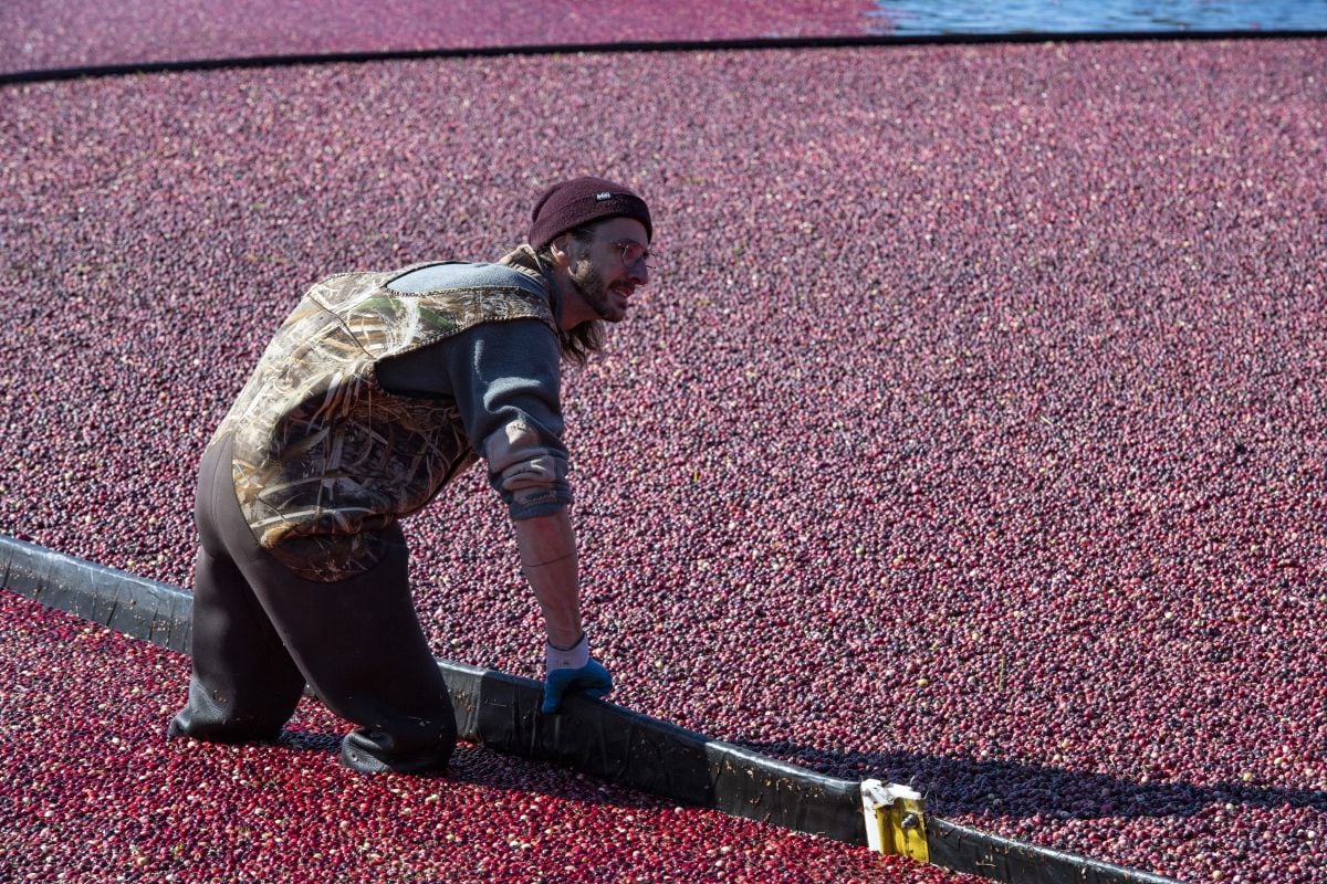 Para trabajar en EEUU siendo extranjero, debes tener los permisos correspondientes (Foto: AFP)