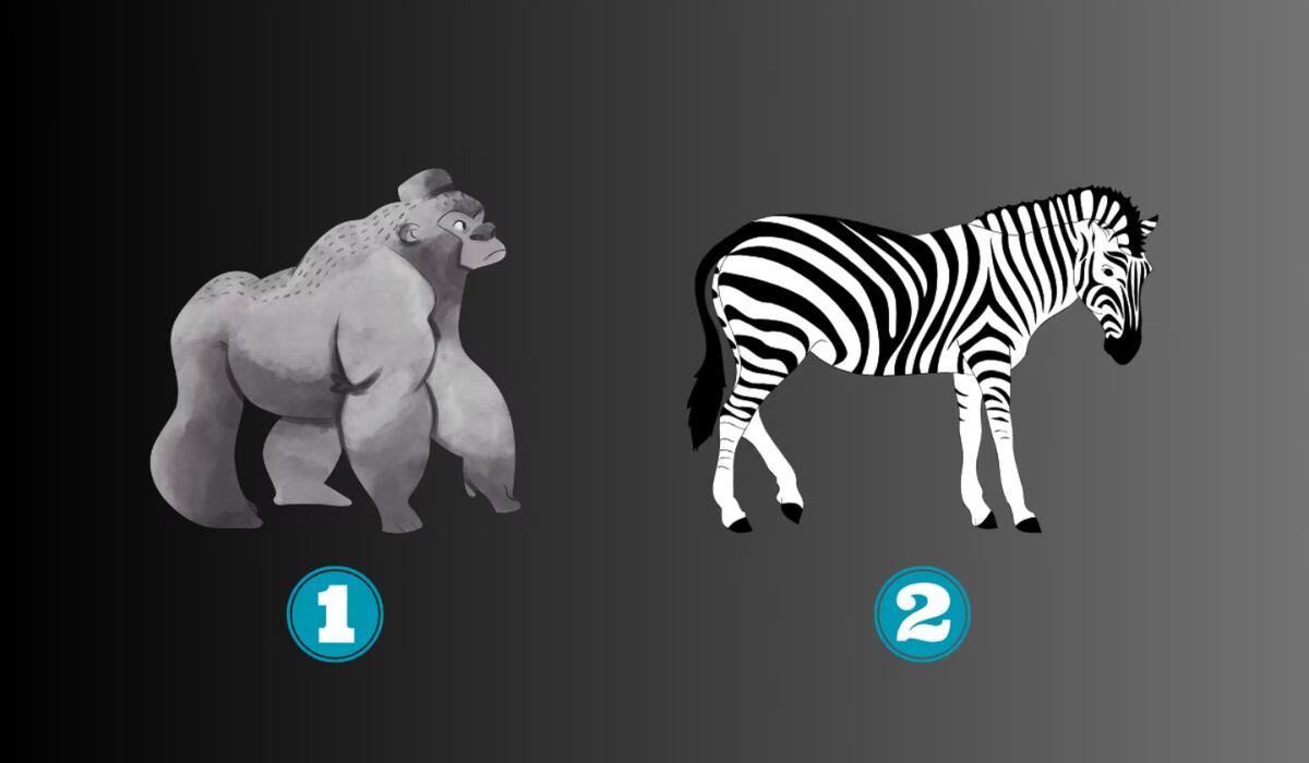 Elige un animal y descubre qué te quieren decir en el test de personalidad. (Foto: TiempoX)