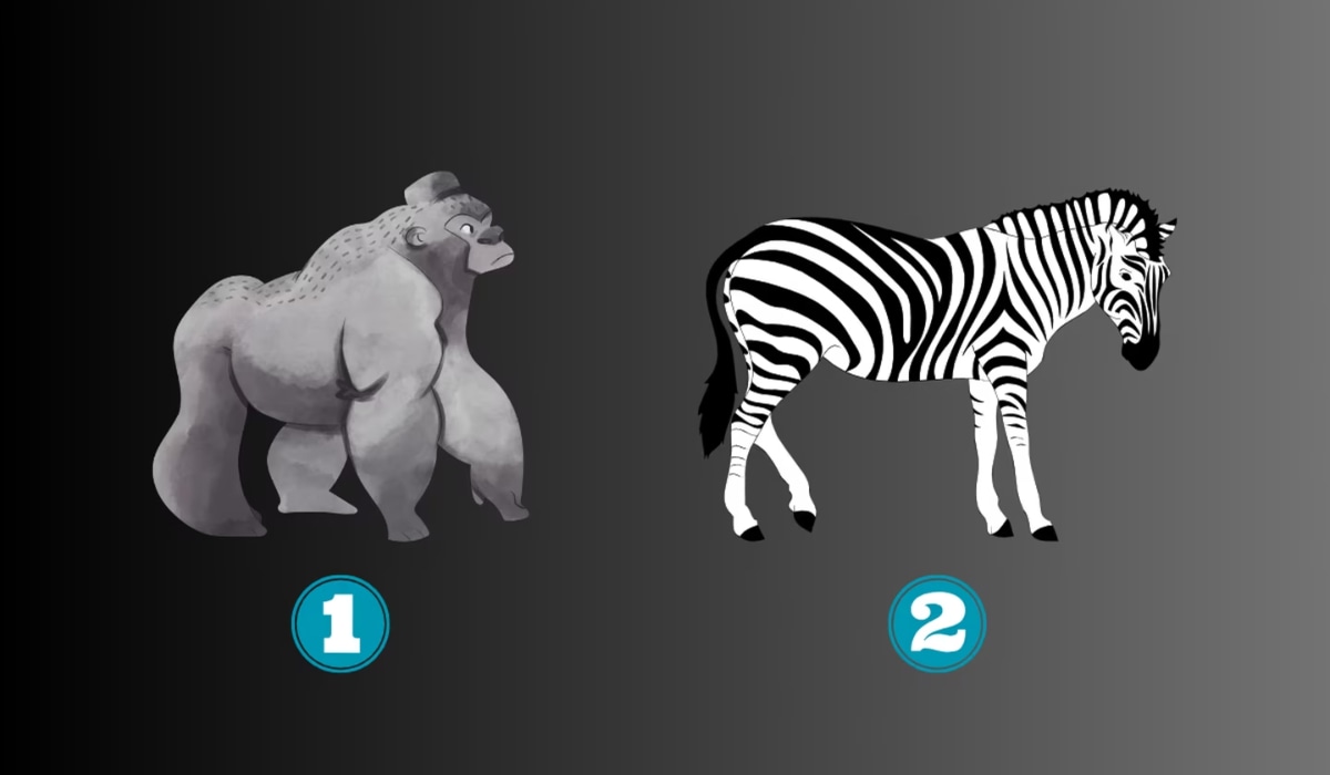 Elige un animal y descubre qué te quieren decir en el test de personalidad. (Foto: TiempoX)