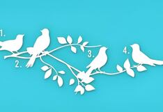 Conoce tu propósito en la vida según el pájaro que escojas en esta ilustración