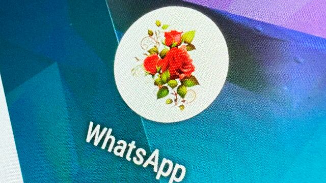 Cambia el ícono de WhatsApp por unas rosas rojas por el Día de San Valentín