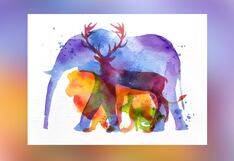 Test visual: descubre tu virtud principal aquí, según qué animal viste primero