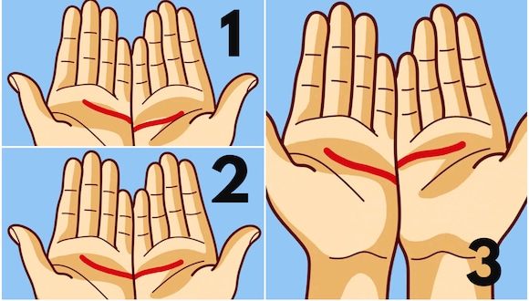 Test visual: la forma de las líneas de tu mano determinará qué buscas en tu próxima pareja (Foto: Genial.Guru).