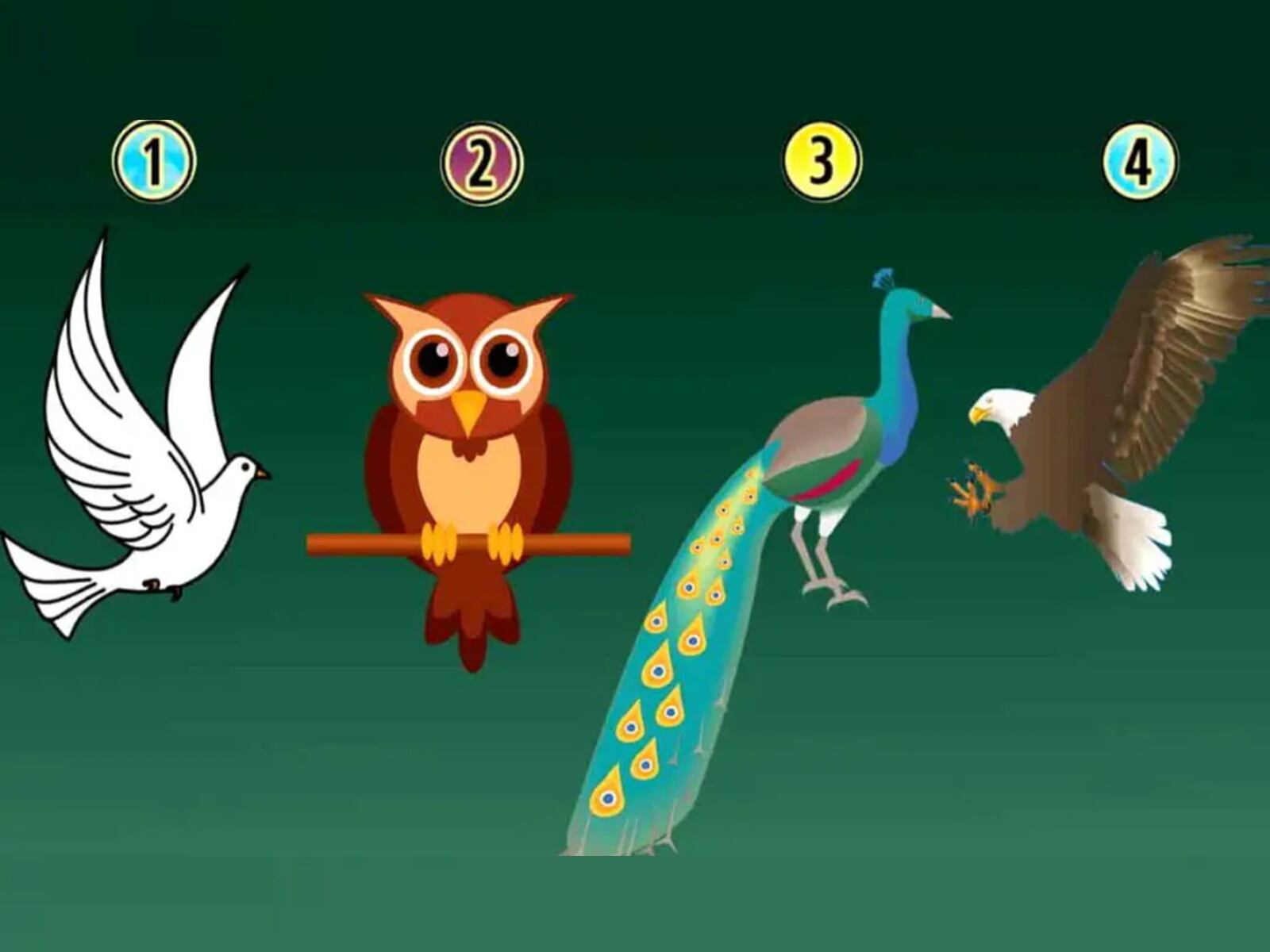 TEST VISUAL | En esta imagen se aprecian varias aves. Debes escoger una. (Foto: namastest.net)