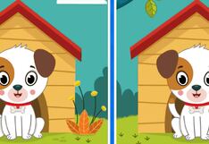 Pon a prueba tu mente al encontrar las 5 diferencias en esta imagen