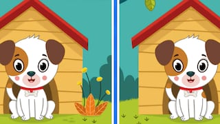 Pon a prueba tu mente al encontrar las 5 diferencias en esta imagen