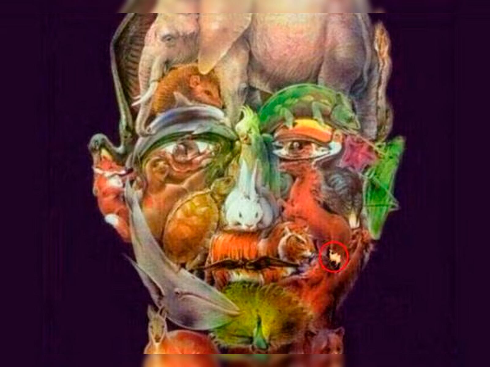 Te muestro la ubicación del camello en este complicado reto viral. | Foto: namastest