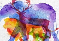 El animal que logres identificar primero revelará tus mayores miedos