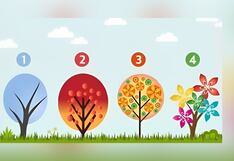 Descubre cuál es la emoción que domina tu vida según el árbol que elijas aquí