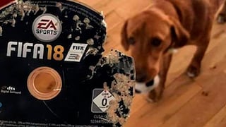 FIFA 18: su perro destruyó el juego y recibió una sorpresa de Amazon