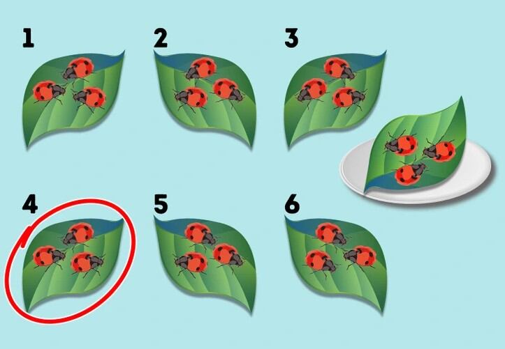 DESAFÍO VISUAL | La respuesta a este enigma mental es que la hoja número 4 es la hoja idéntica del ejemplo. | Bright Side