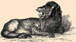 Ubica al cuidador del león en tu primer intento: pocos lograron resolver este reto viral