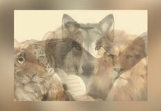 Test visual: descubre los pilares de tu vida según qué animal ves en esta imagen