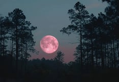 ¿A qué hora se pudo ver con claridad la Luna Rosa 2024 en México? Cómo ver la Luna Llena