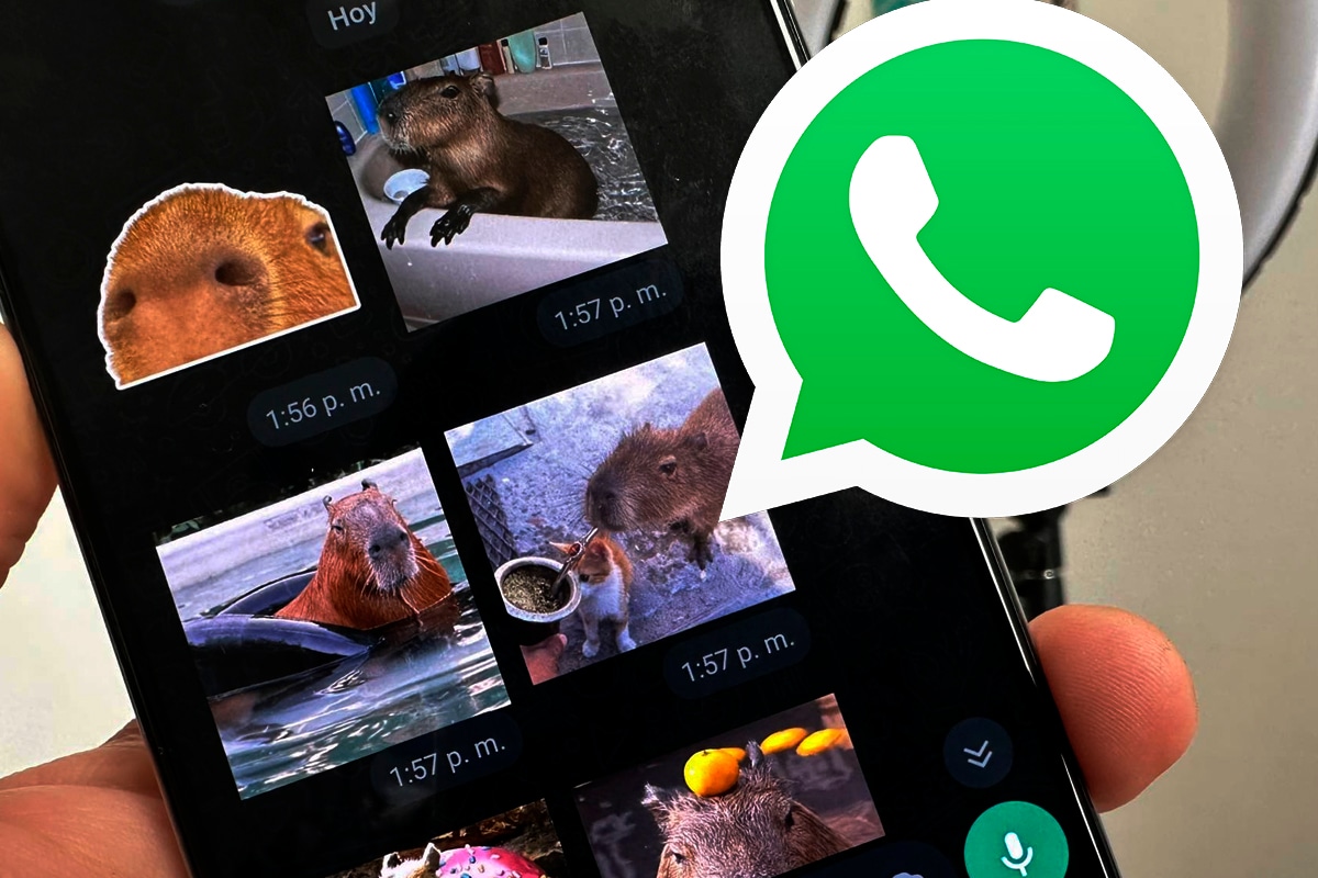 WHATSAPP | Si quieres descargar los mejores stickers de los capibara o carpinchos en WhatsApp, aquí te los dejamos. (Foto: Depor - Rommel Yupanqui)