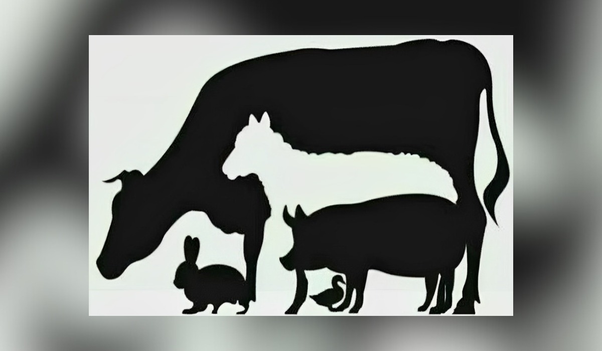 Test de personalidad: descubre quién es la persona que quiere traicionarte según cuántos animales veas (Foto: GenialGuru).