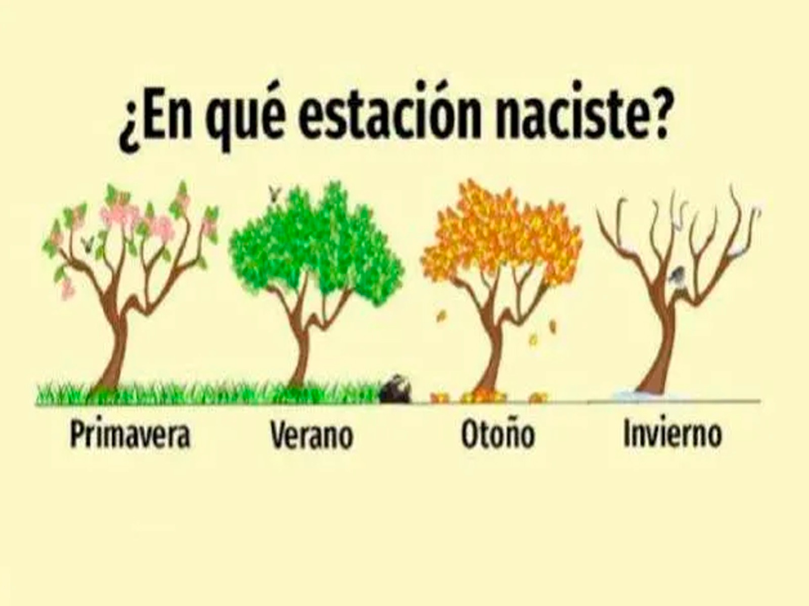 TEST VISUAL | Solo tienes que elegir entre estas alternativas y llegarás a conocer los resultados de la prueba. | Foto: namastest