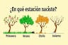 De acuerdo a tu estación de nacimiento podrás descubrir si eres una persona sensible
