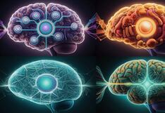 El cerebro que escojas en esta imagen sacará a relucir tu tipo de inteligencia