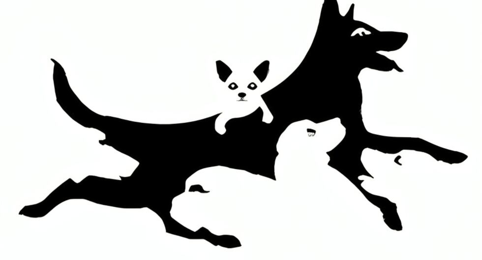 Test visual: el número de perros que encuentres aquí revelará cuál es ...