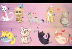 Saldrá a la luz tu verdadera forma de ser cuando elijas un gato de la imagen