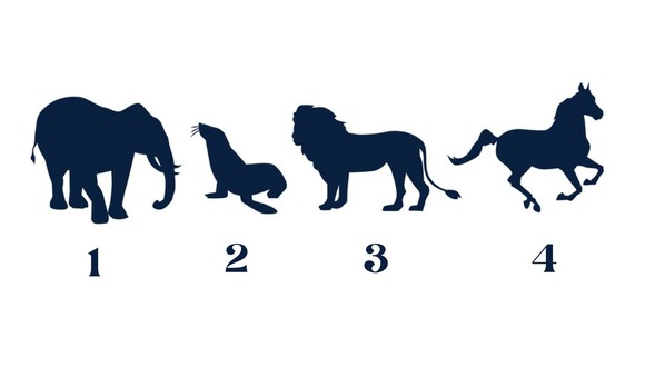 TEST VISUAL | Son cuatro siluetas de animales que estás apreciando en esta prueba mental. (Foto: Composición Freepik / Depor)