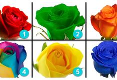 Escoge la rosa que regalarías a tu madre en su día y podrás conocer tu mayor virtud