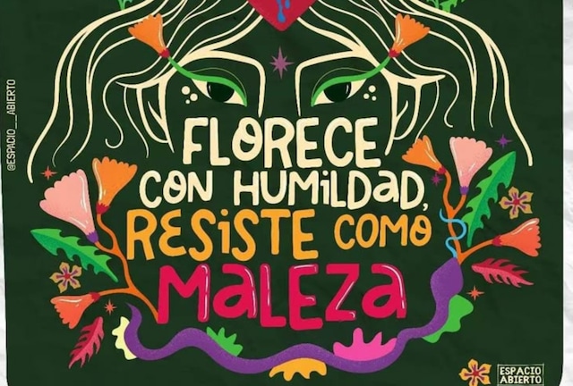 "Imagina cuánto más felices seríamos, cuánta más libertad tendríamos para ser nosotros y nosotras mismas, si no tuviésemos el peso de las expectativas de género". Chimanda Ngozi Adichie (Foto: Canva.com / Noé Yactayo)