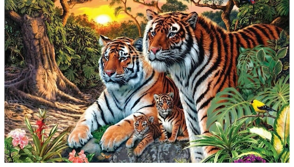 ¿Cuántos tigres ves en esta foto? Cuidado. No te dejes guiar por la primera impresión. (Foto: Twitter de @isharmaneer)