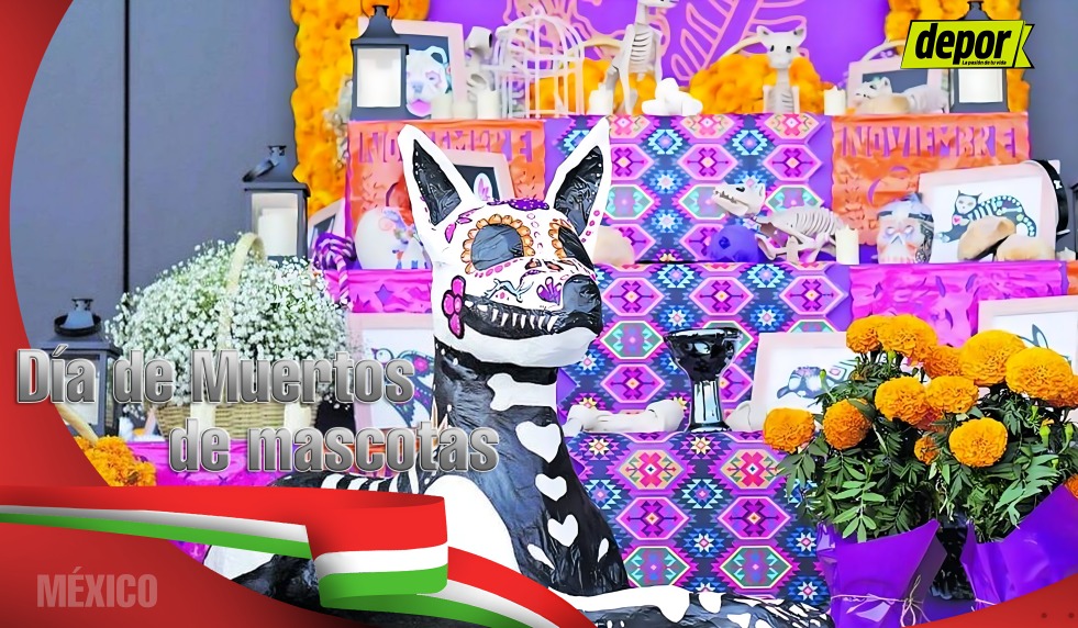 Frases por el Día de Muertos de mascotas: mensajes e imágenes para compartir (Foto: Composición)