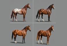 Elige un caballo de la imagen para descubrir si eres un líder nato