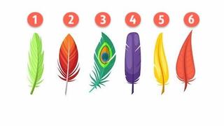 Test visual de plumas: Descubre tu personalidad oculta en un minuto