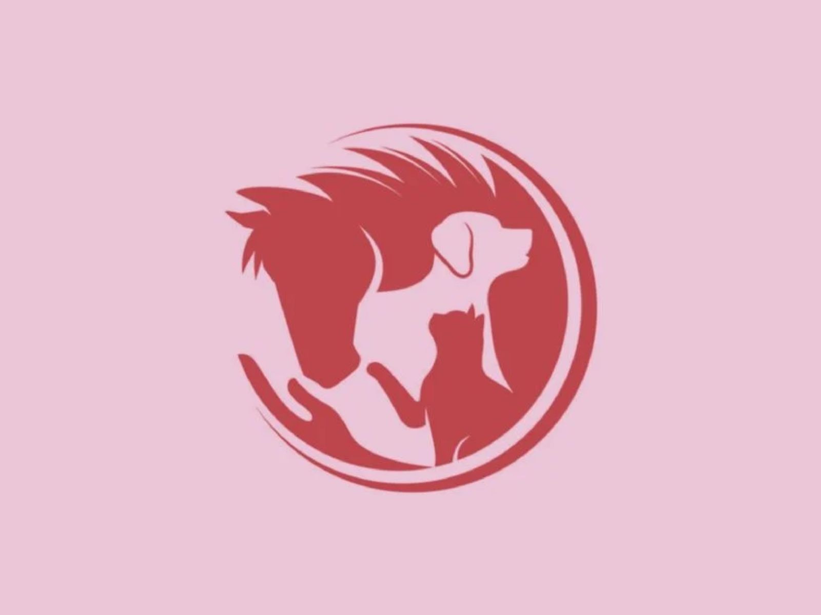 TEST VISUAL | Miles de usuarios les encantó la presente ilusión óptica. (Foto: MDZO)