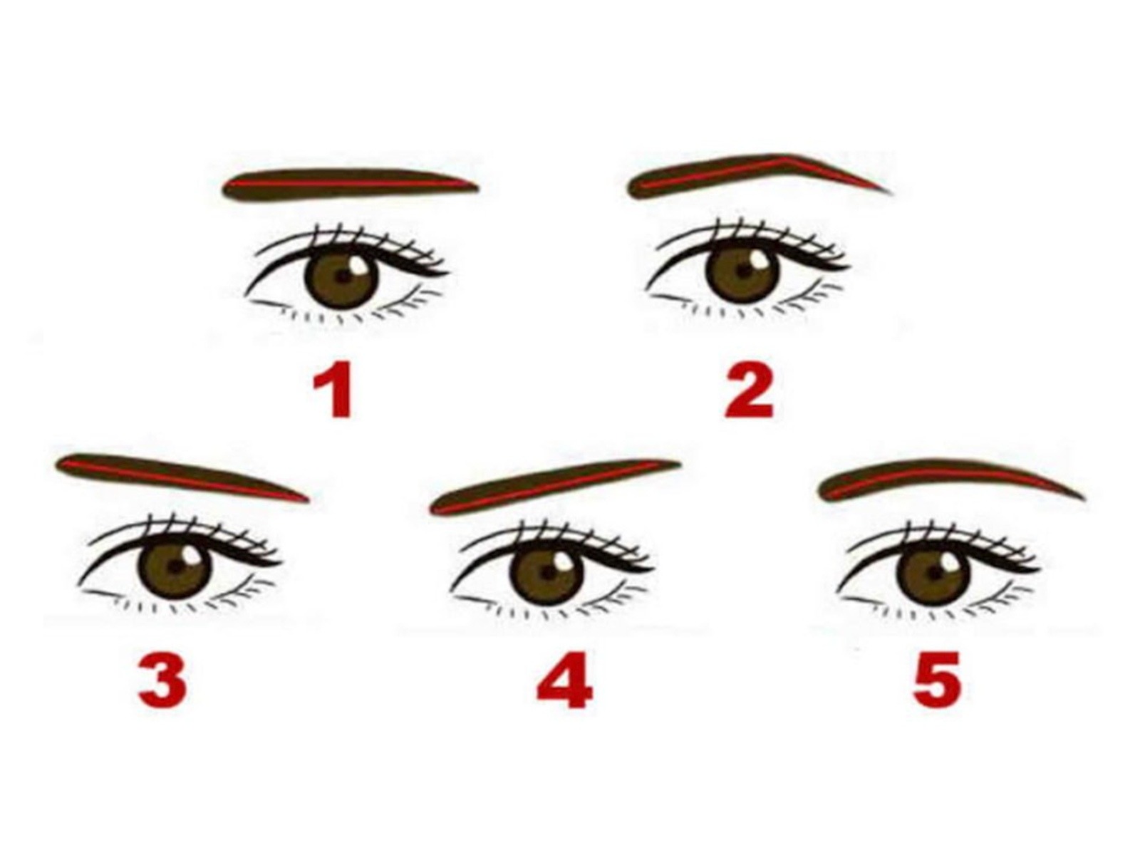 TEST VISUAL | En esta imagen se aprecian varios tipos de cejas. (Foto: namastest.net)