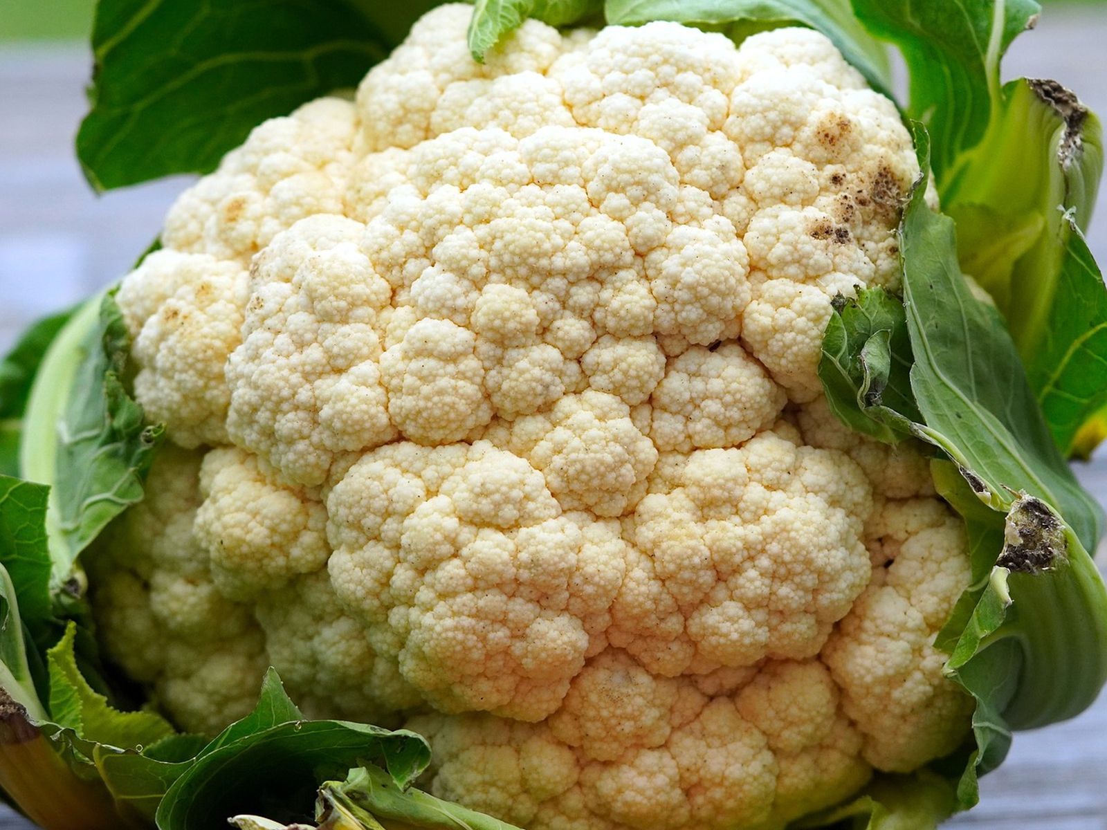 Esta imagen te muestra una coliflor. (Foto: Matthias Böckel / Pixabay)