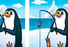 ¡Tienes solo 15 segundos! ¿Podrás encontrar las 5 diferencias en la siguiente imagen?